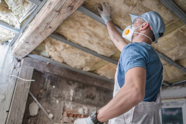 Best Insulation Removal  in Cottleville, MO