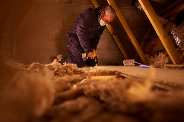 Best Blown-in Insulation  in Cottleville, MO